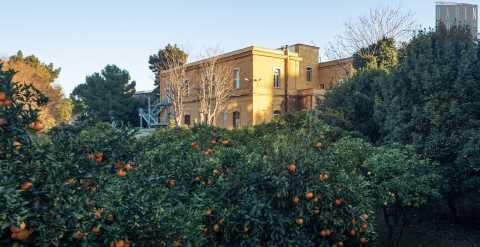 Bari, in via Ulpiani si staglia un edificio neoclassico circondato da un agrumeto:  la sede del "Crea"